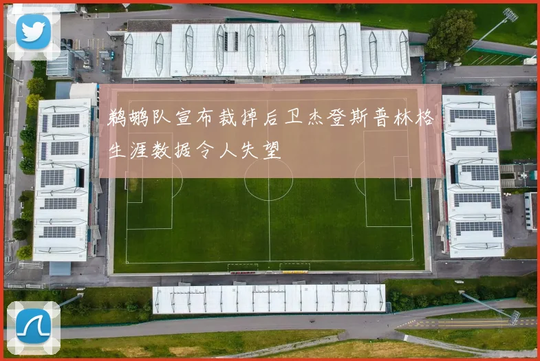 鹈鹕队宣布裁掉后卫杰登斯普林格生涯数据令人失望