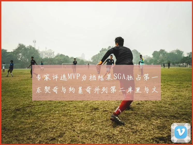 专家评选MVP分档结果SGA独占第一东契奇与约基奇并列第二库里与文班位列第四